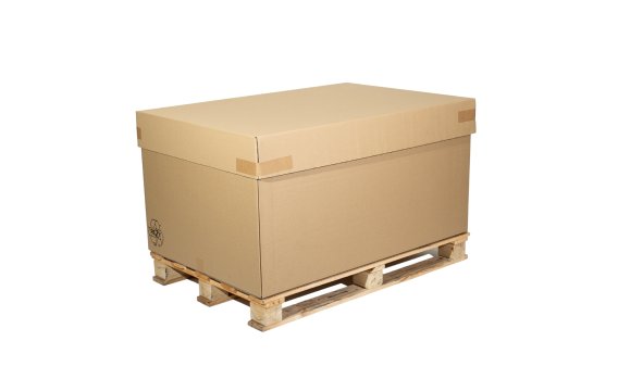 Caisse container carton
